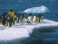 penguin test (26 kB)