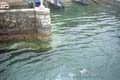 water of Lago Maggiore (89 kB)