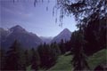 mountains with trees (92 kB)